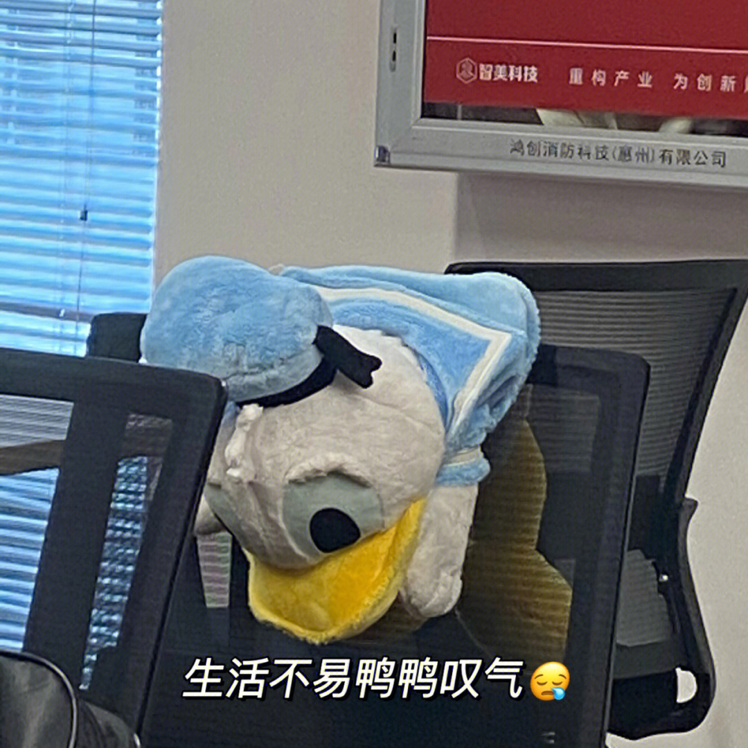 生活不易鸭鸭叹气图片