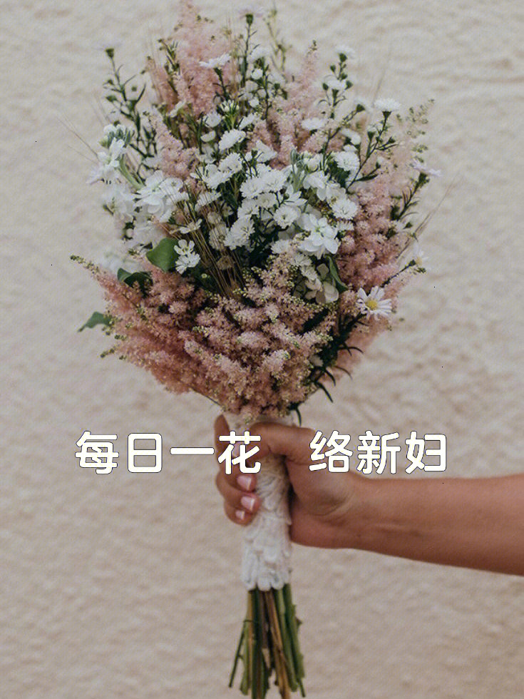 络新妇花花语图片