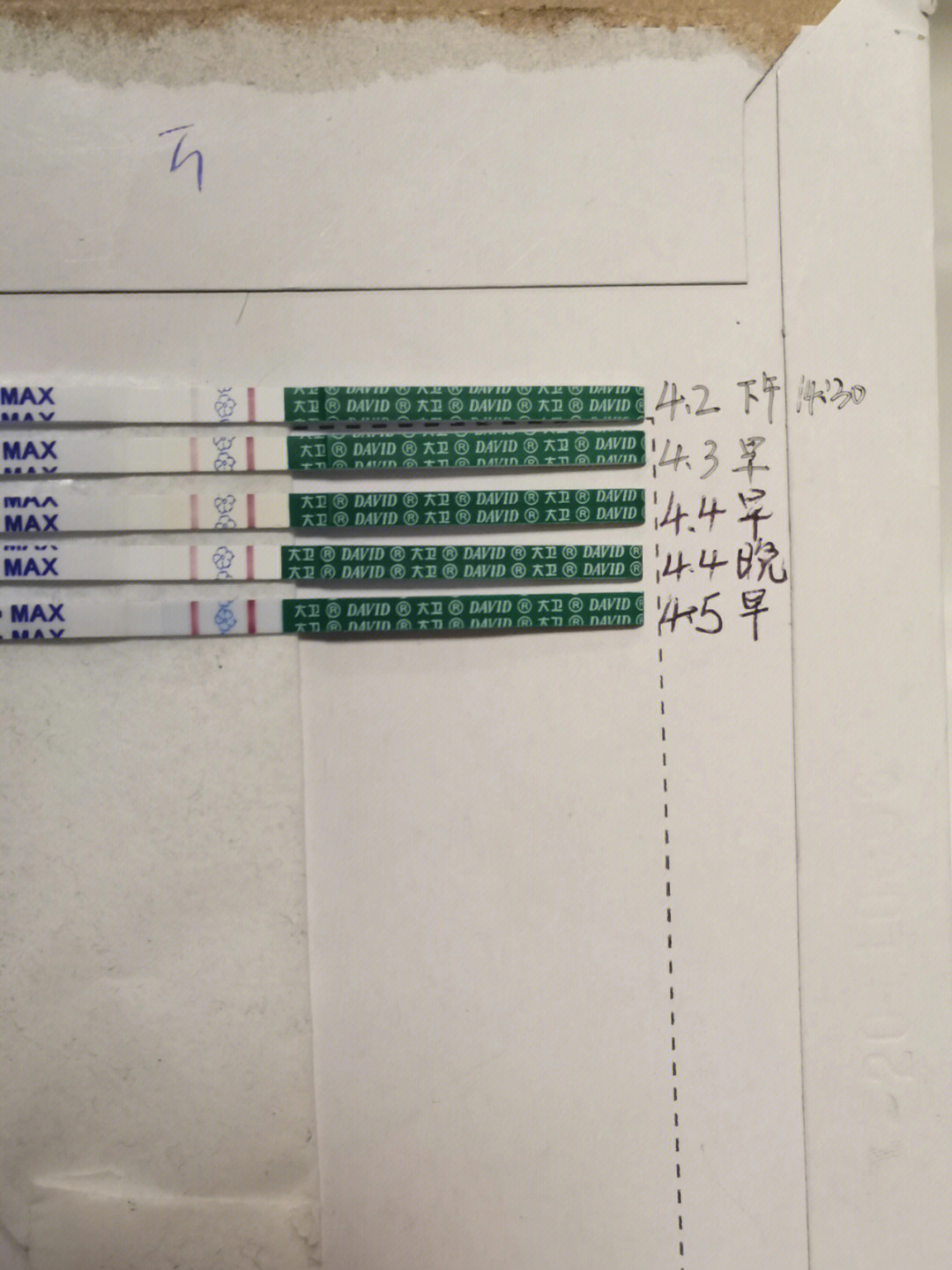 试管移植21天胚胎图片图片