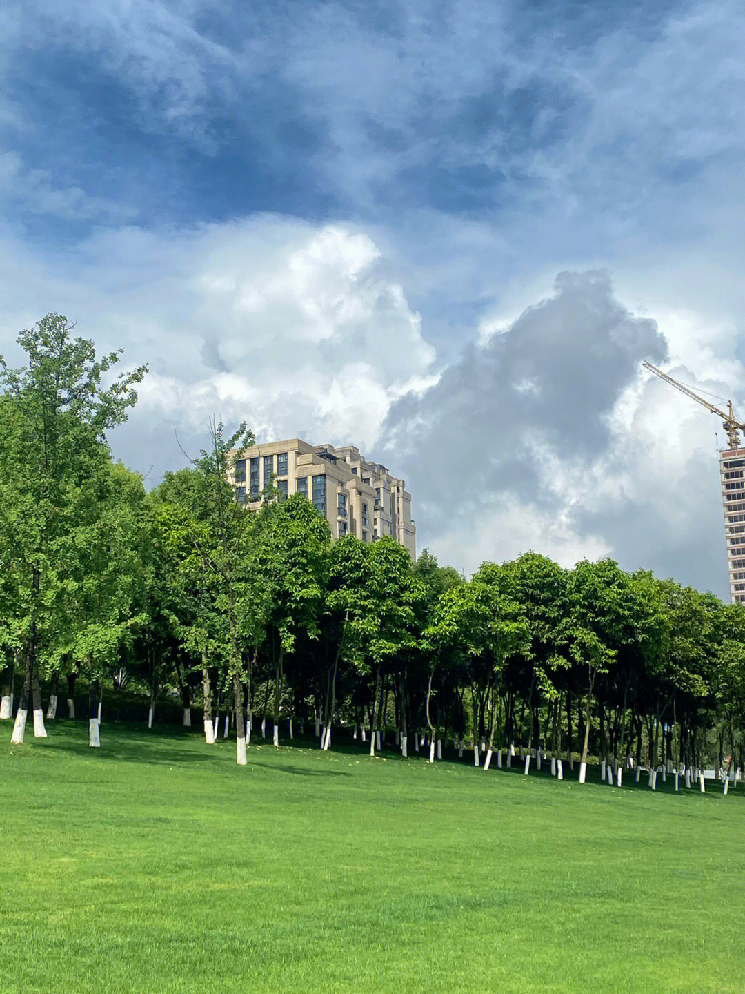 重庆科学城中央公园图片