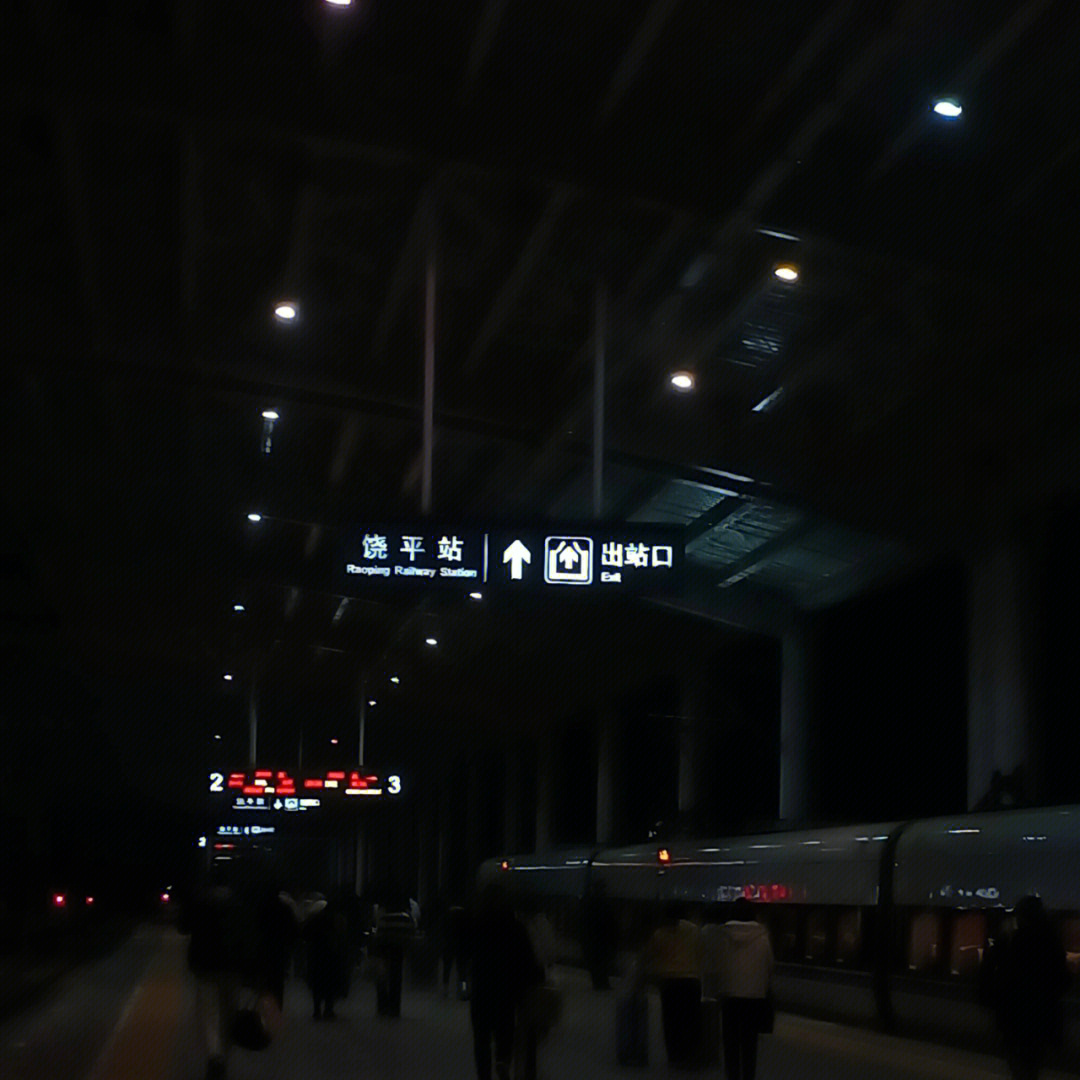 廊坊高铁站夜景图片