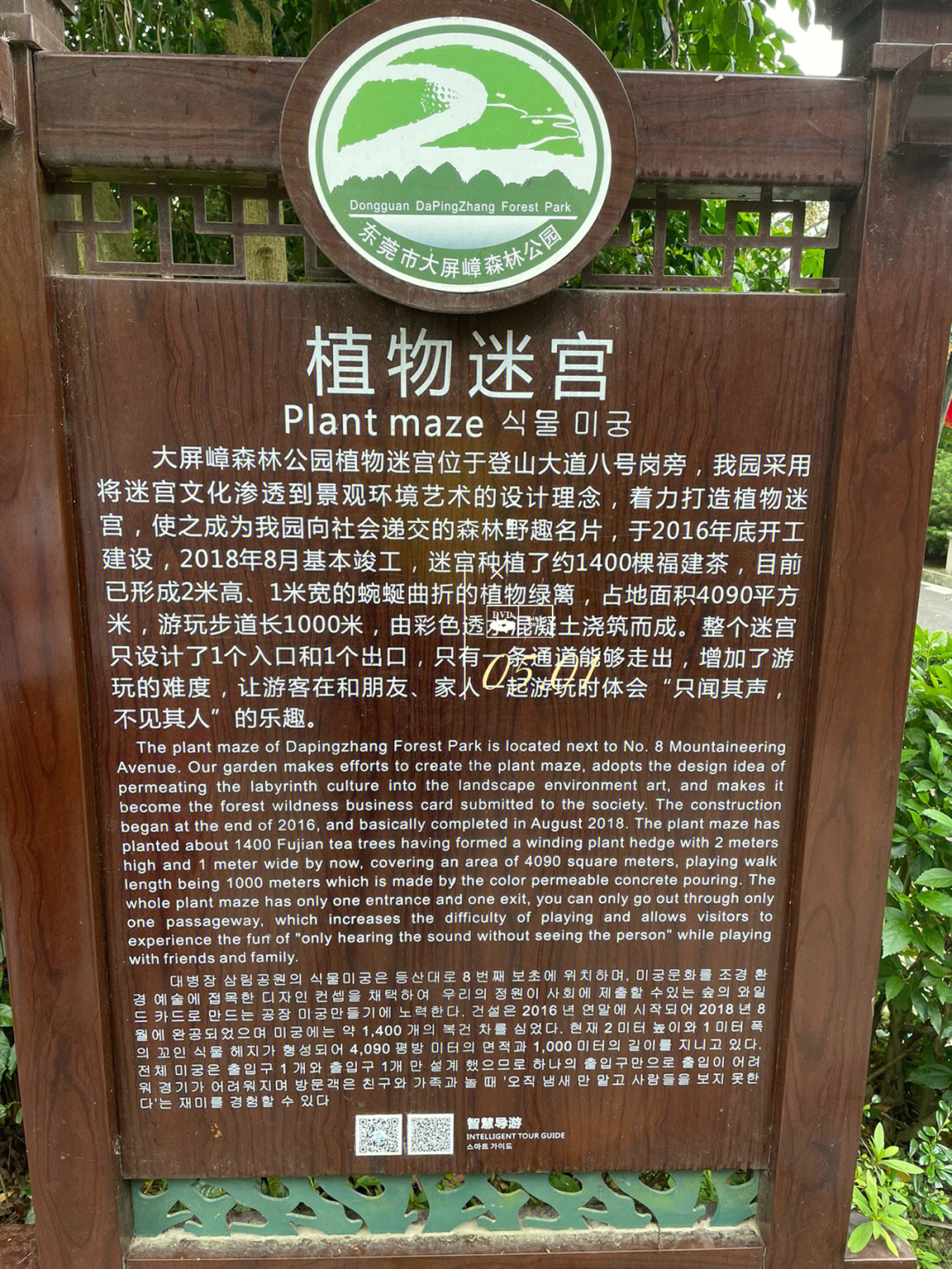 上海金山植物迷宫图片