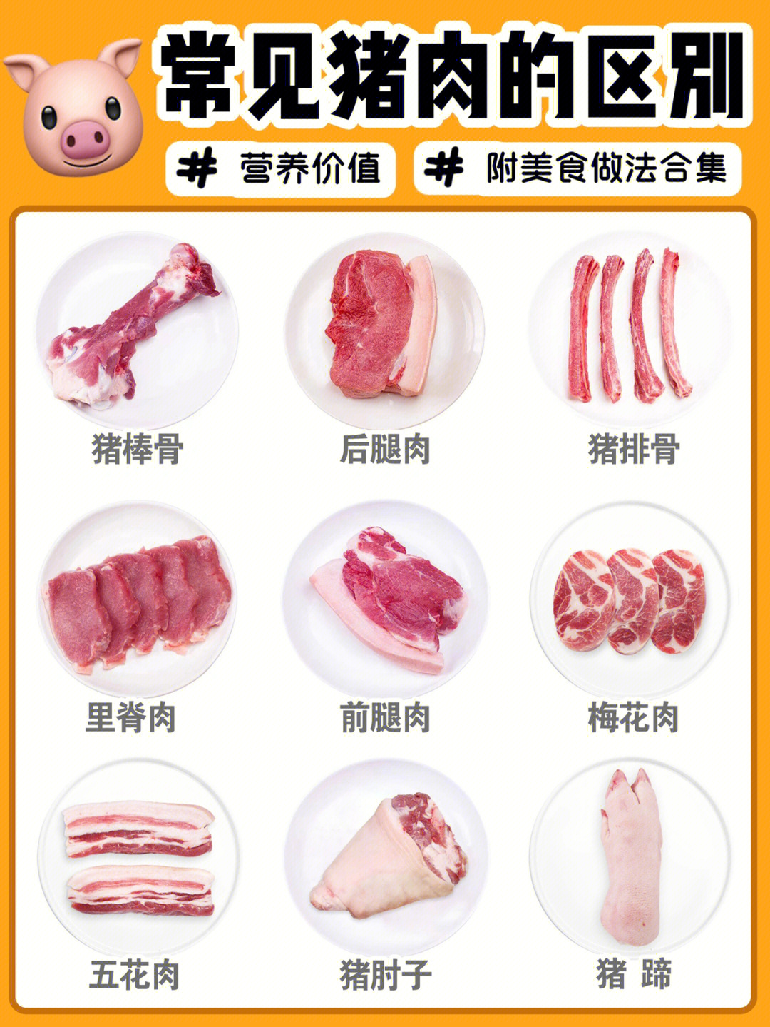 猪肉分布图及烹饪方法图片