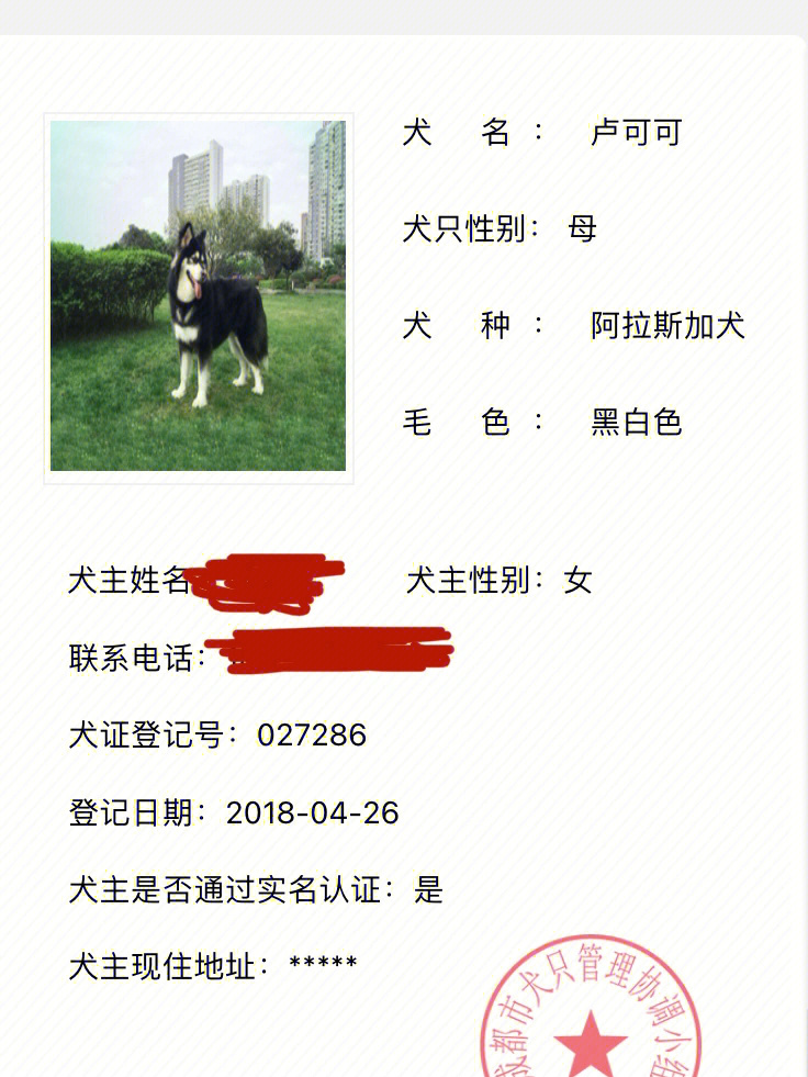 不可以059969♀15具体可参考图四,图片来自蓉城犬管公众号)2