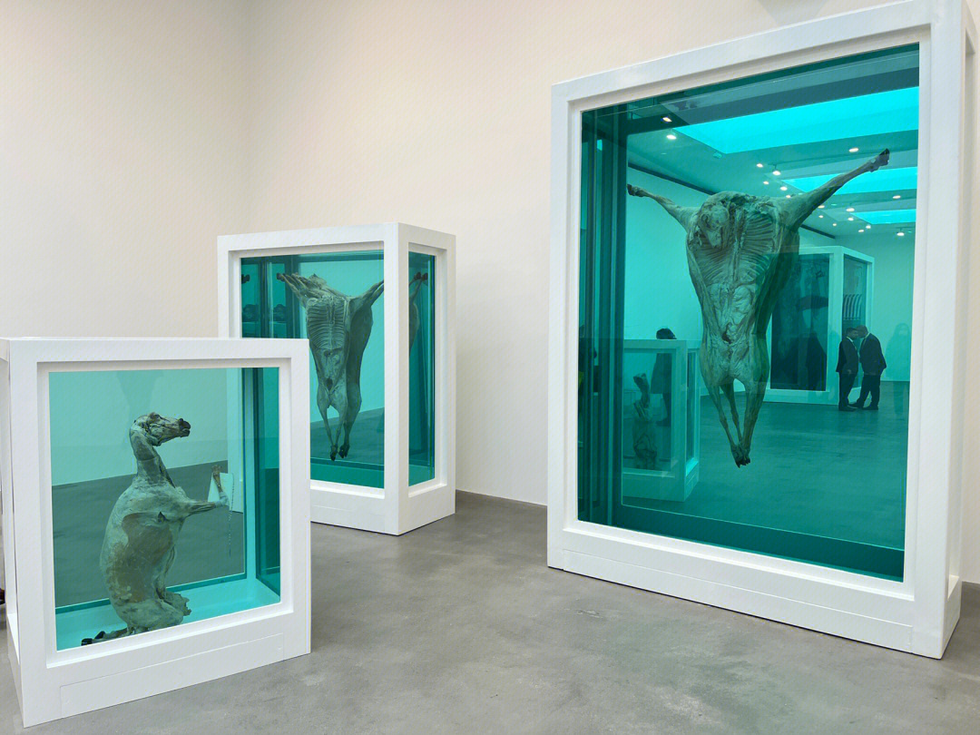 damienhirst图片