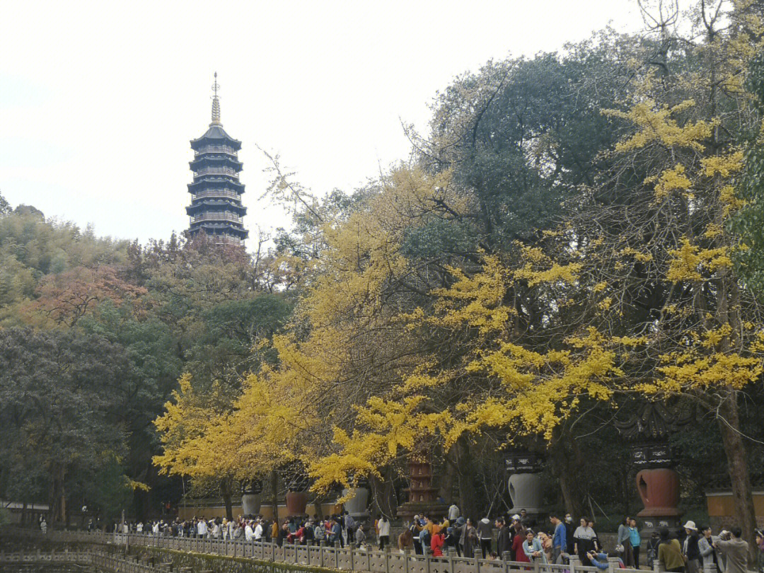 宁波天童寺简介图片