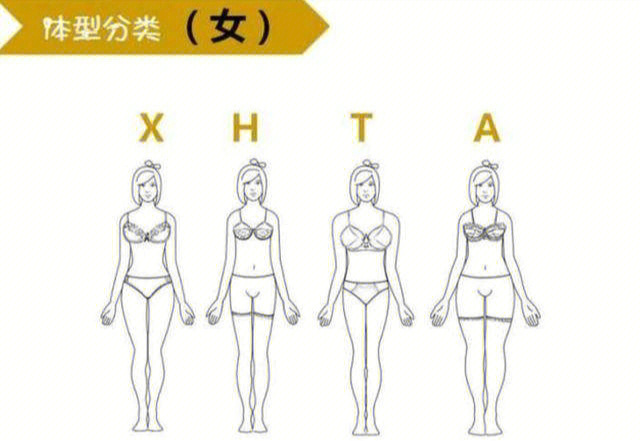 目前女性体型的共分为四种(图一)x体型是标准体型,也就是沙漏型身材,x