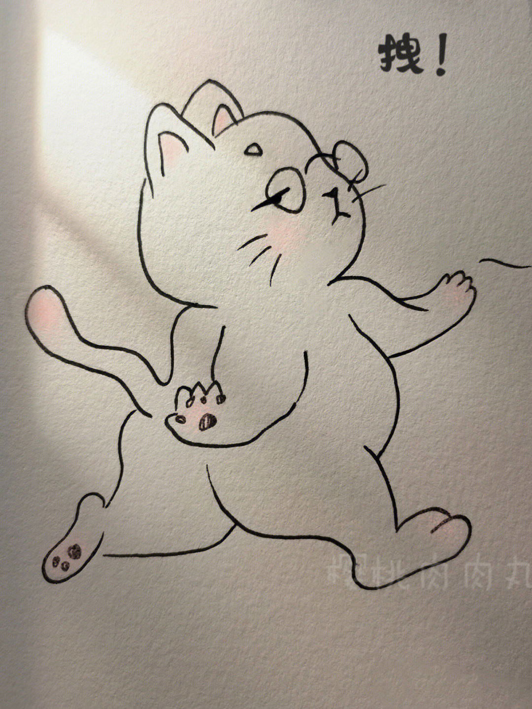 今日简笔画潇洒猫咪内有教程