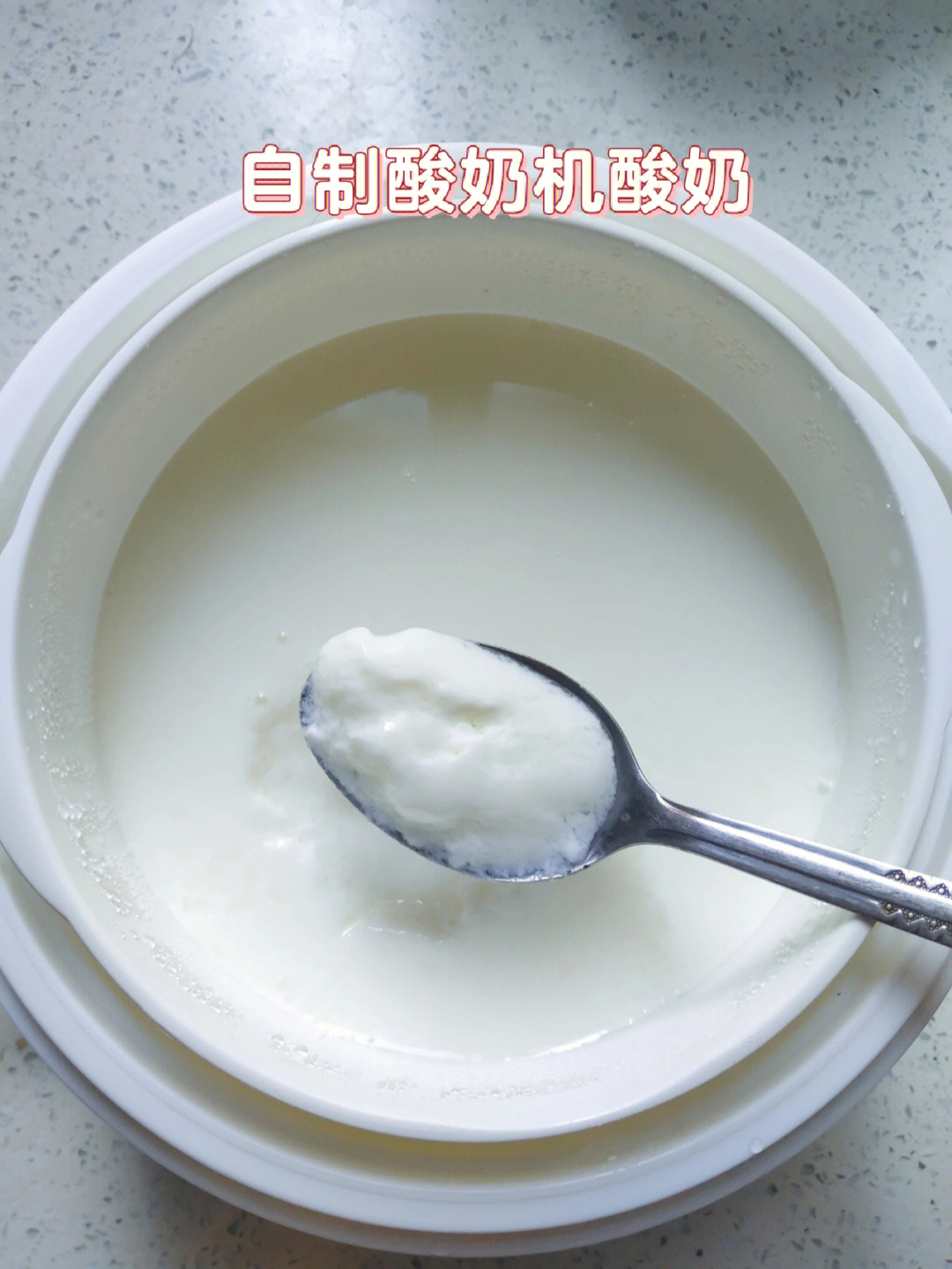 自制酸奶机酸奶