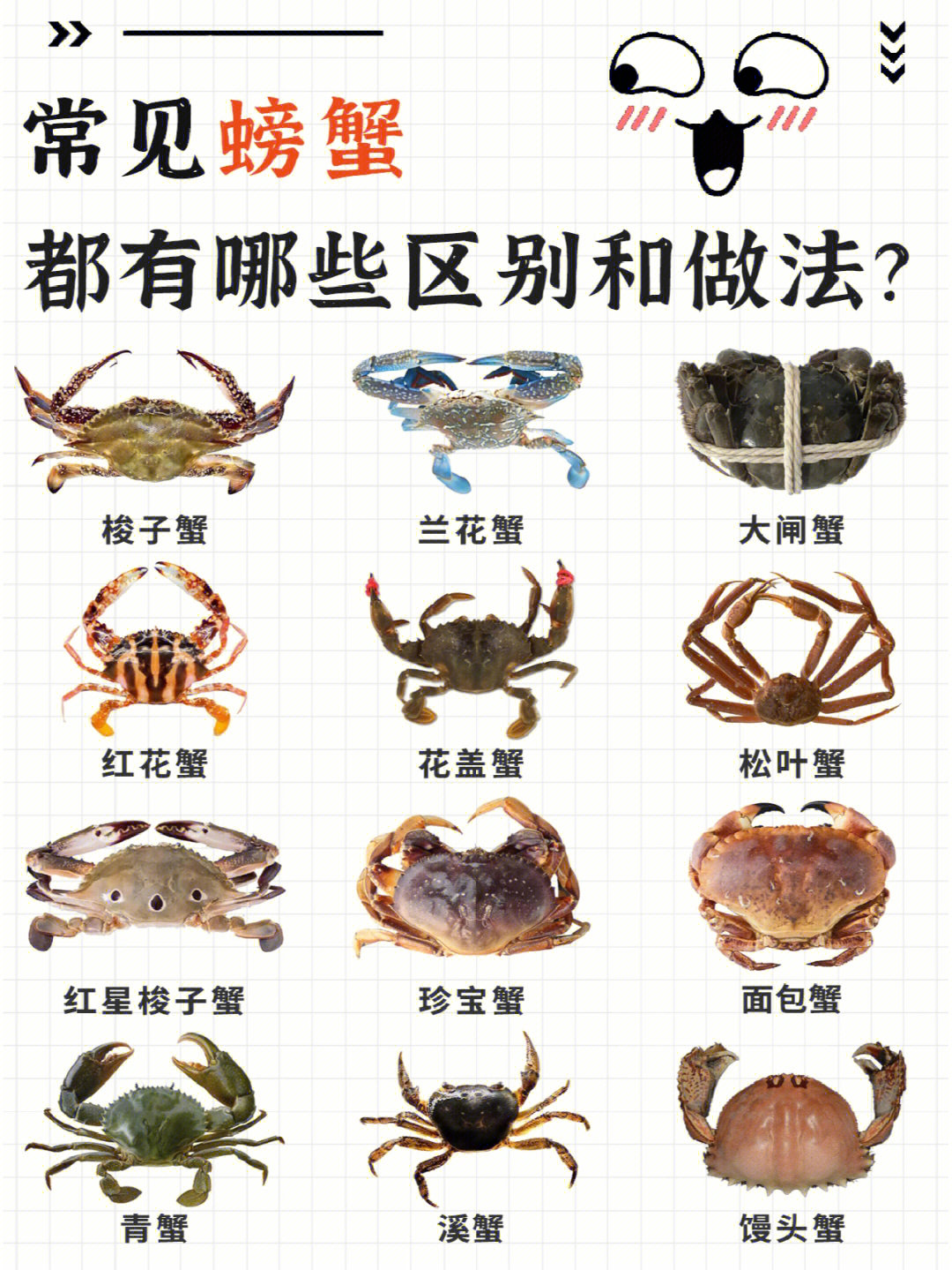 常见螃蟹合集都有什么区别内附菜谱做法