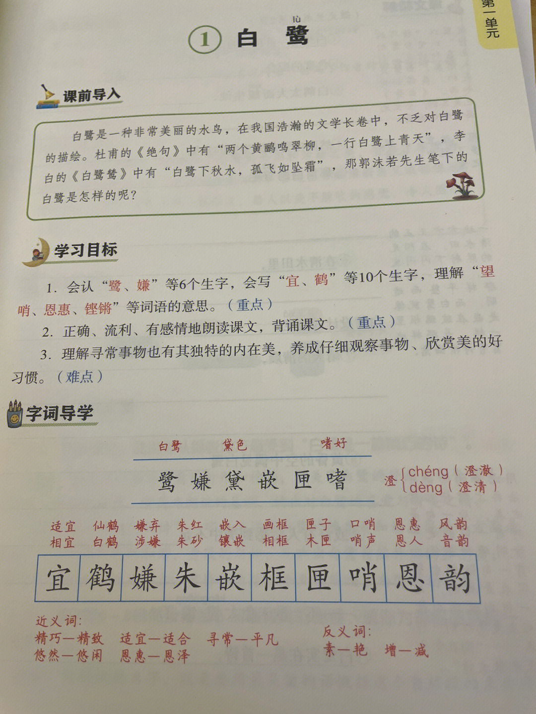 《白鹭》课文生字组词图片