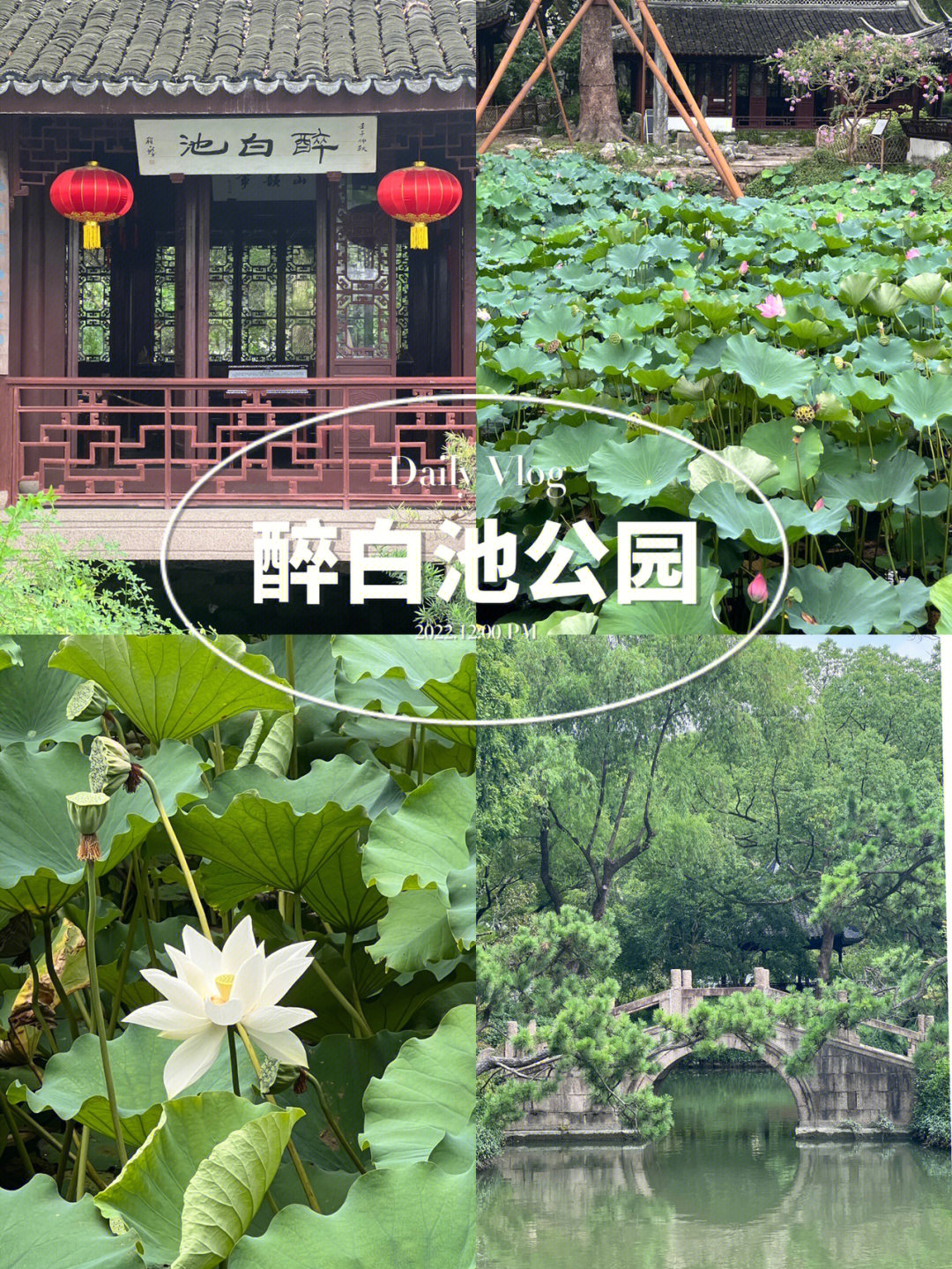 上海醉白池公园地址图片