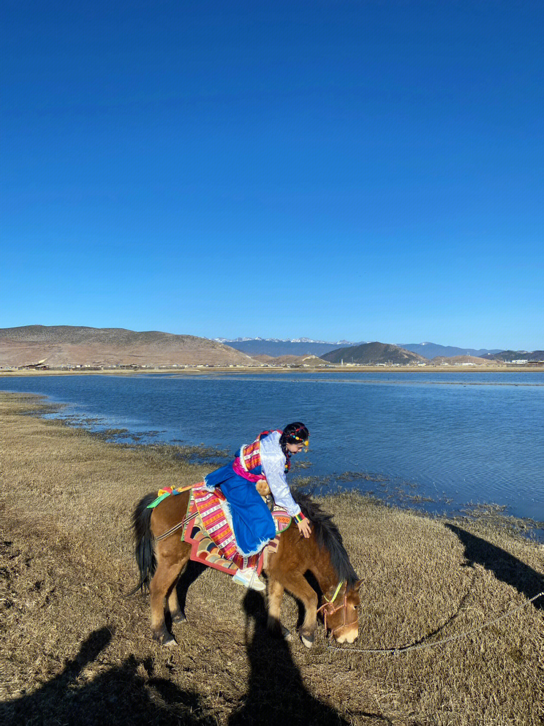 香格里拉纳帕海依拉草原骑马