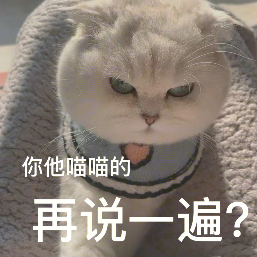 见过这么狠的修猫咪吗猫咪表情包