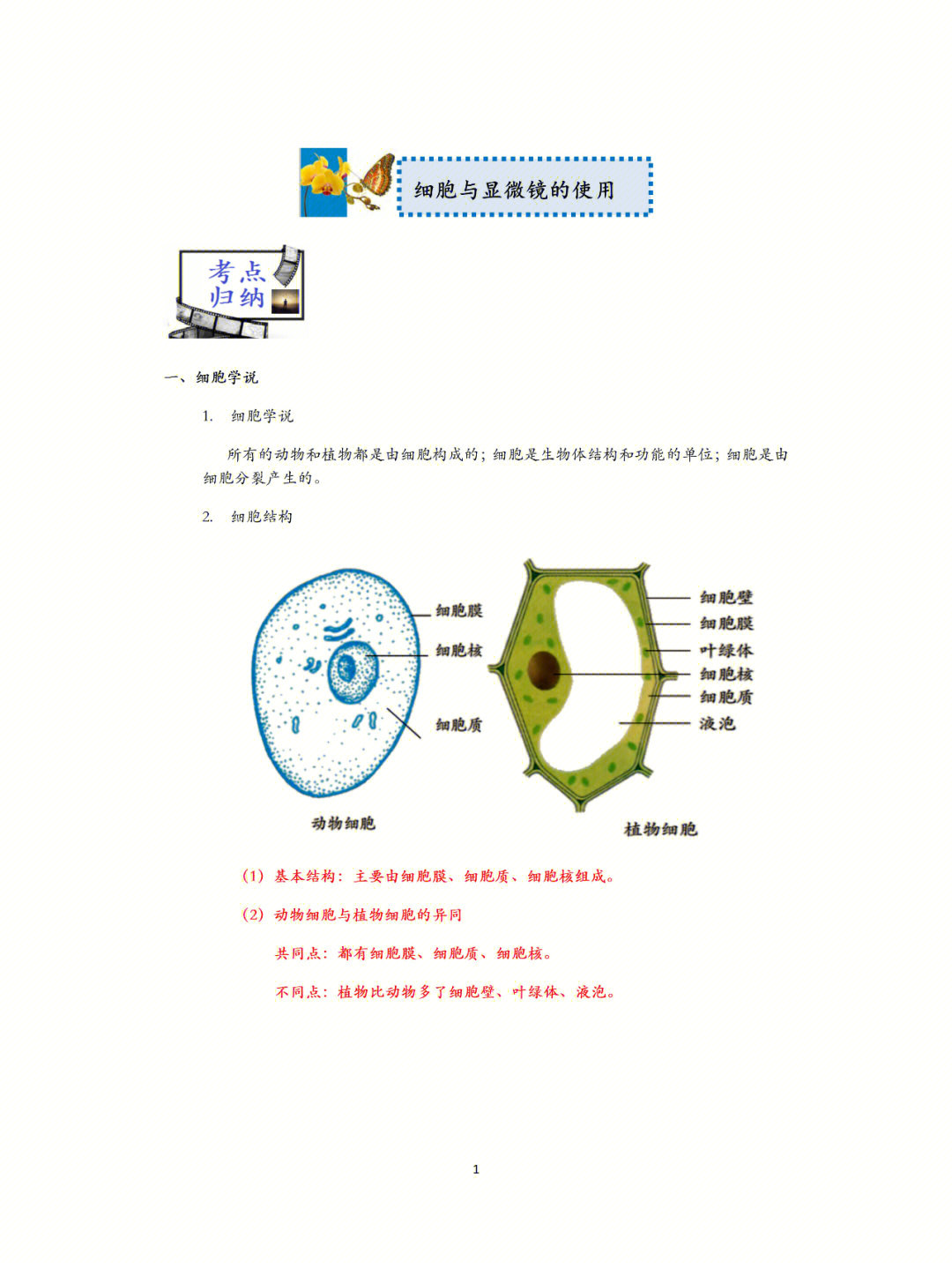 植物细胞质的作用图片