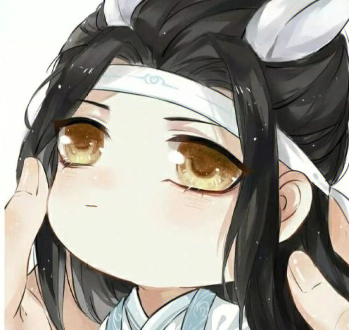 魔道祖师头像