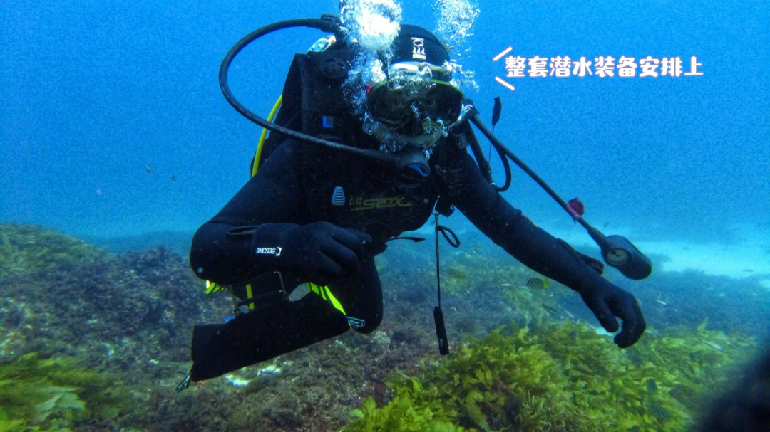 Scubadiving图片