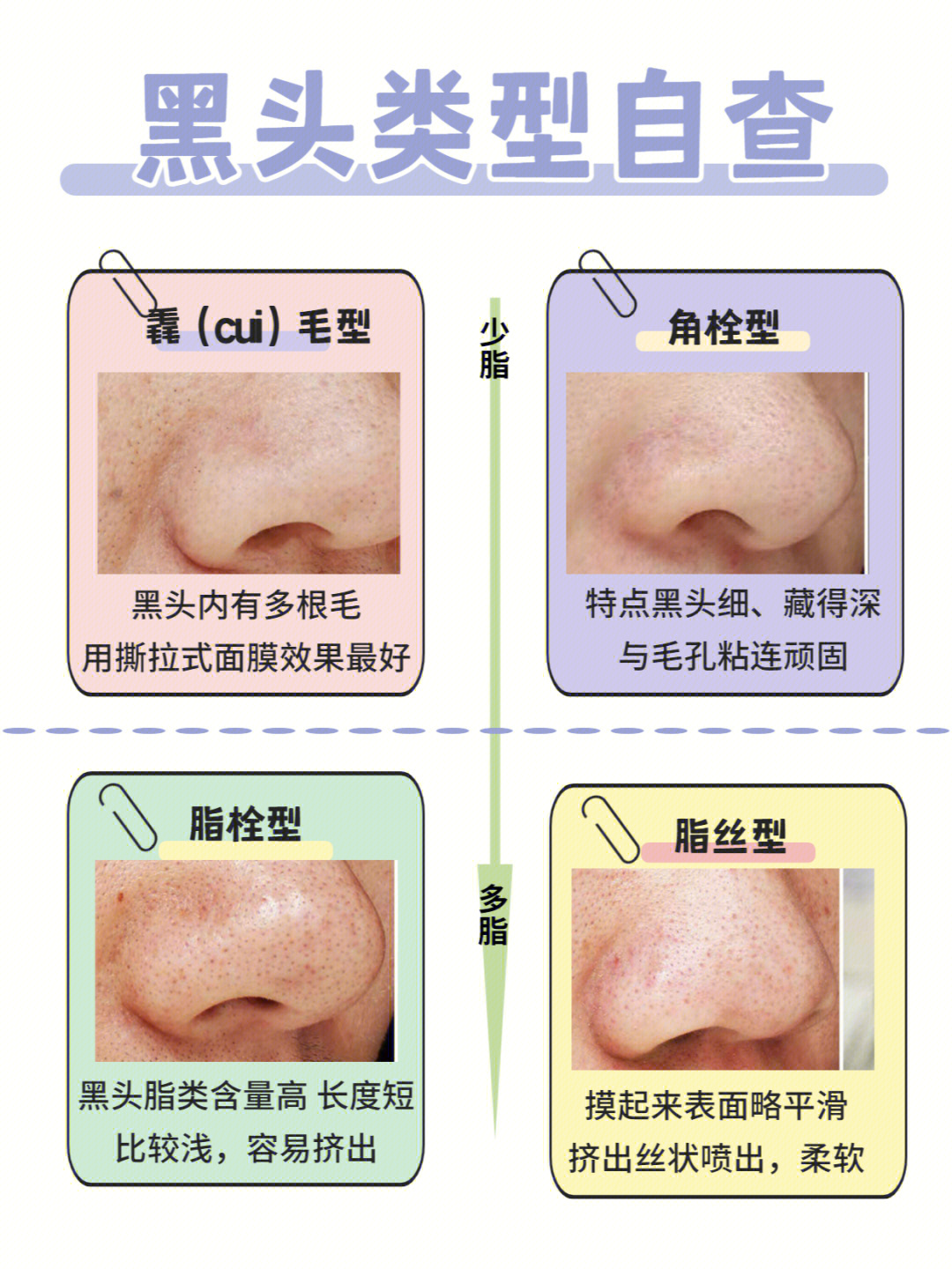 黑头白头区别图片