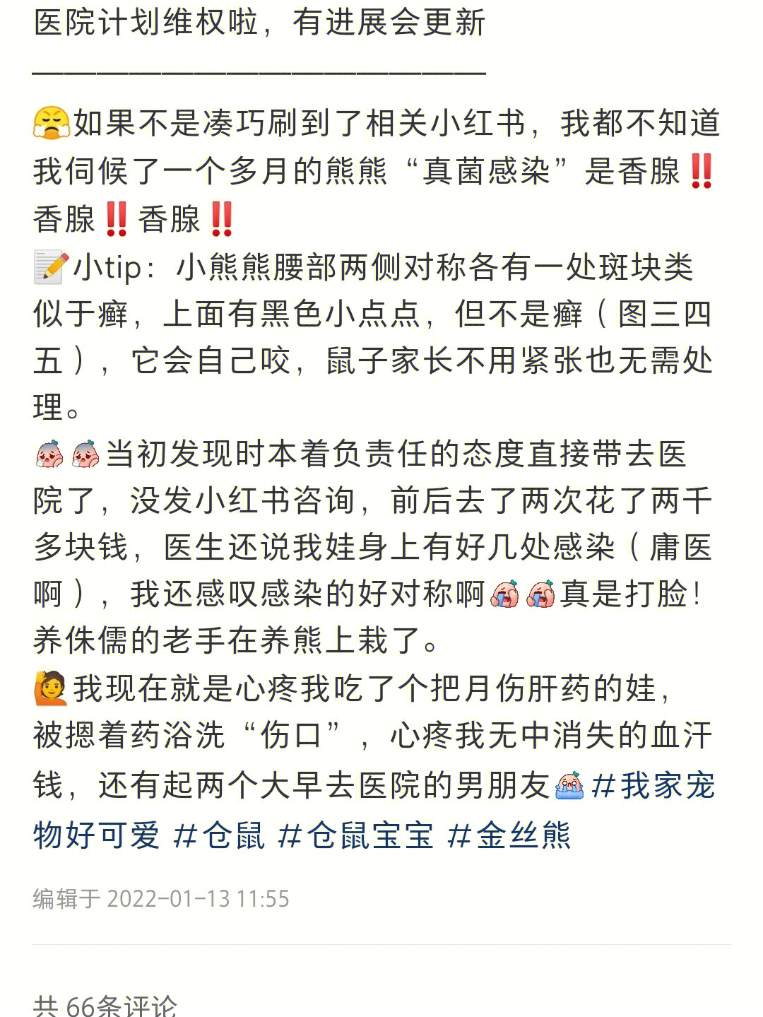 仓鼠拨皮事件图片