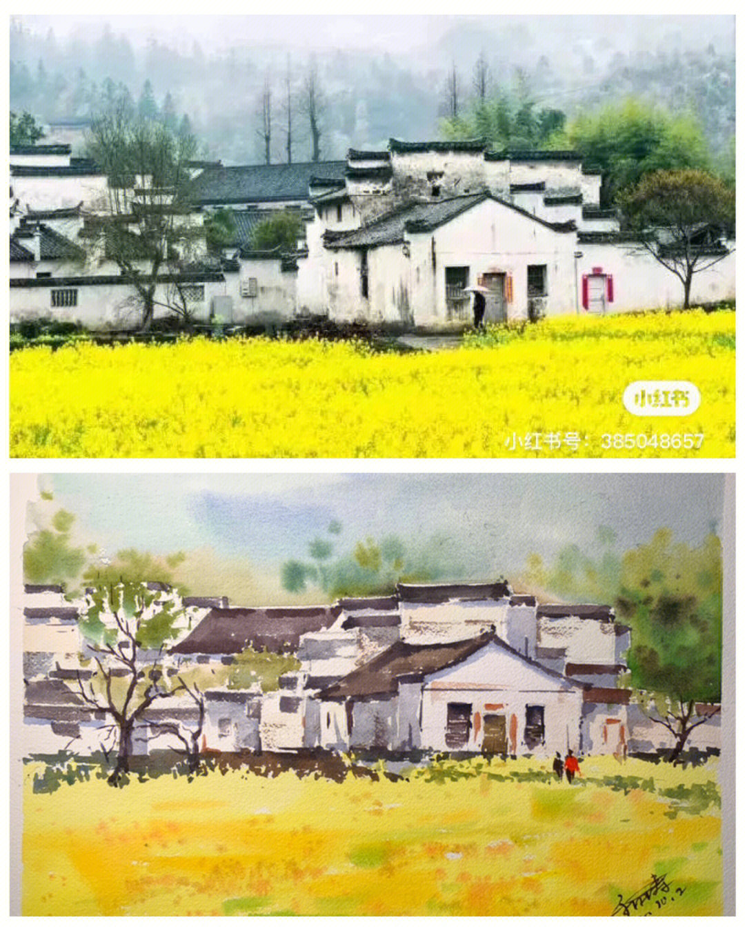 油菜花水粉画教程图片