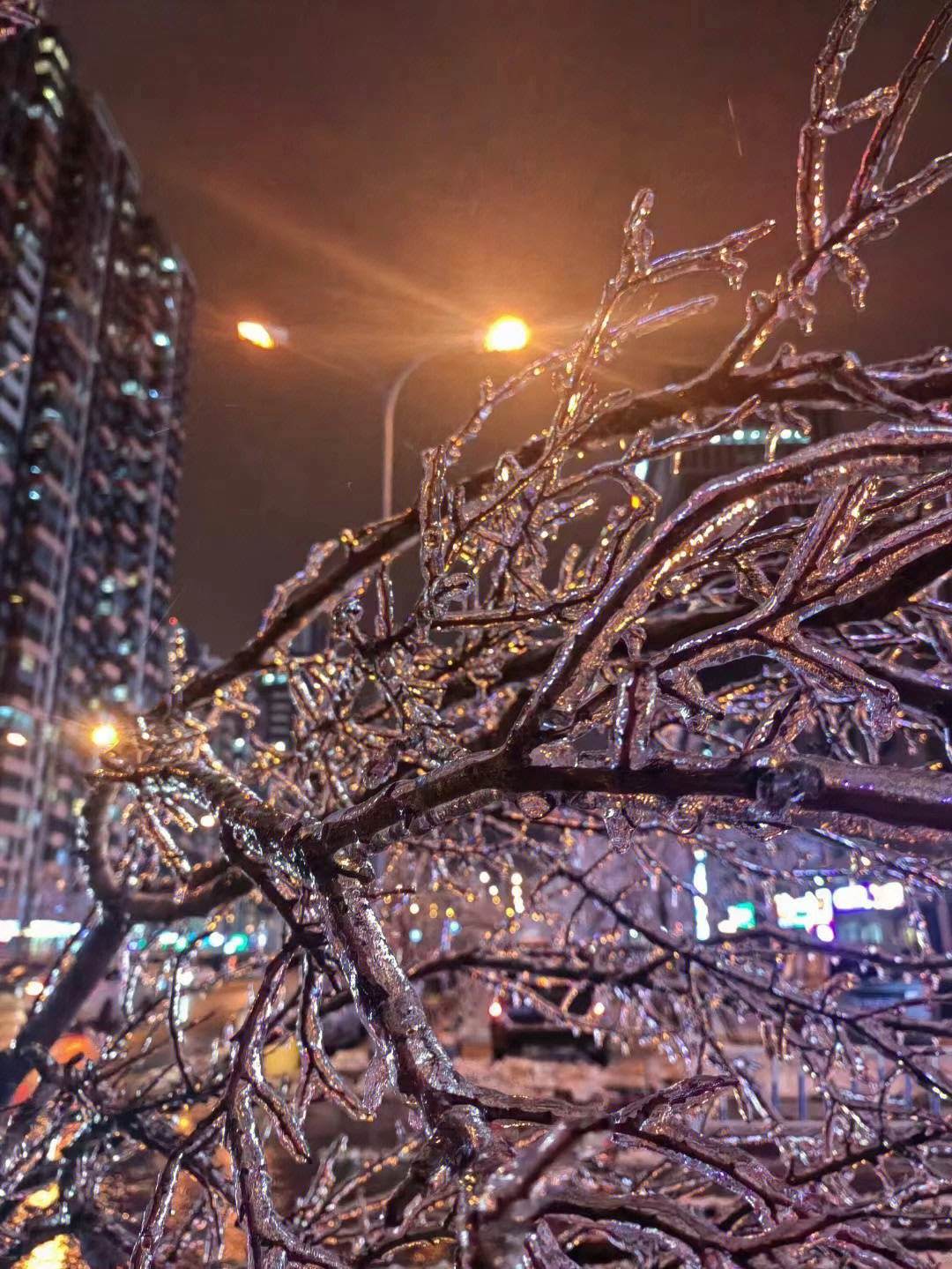 哈尔滨冻雨图片图片