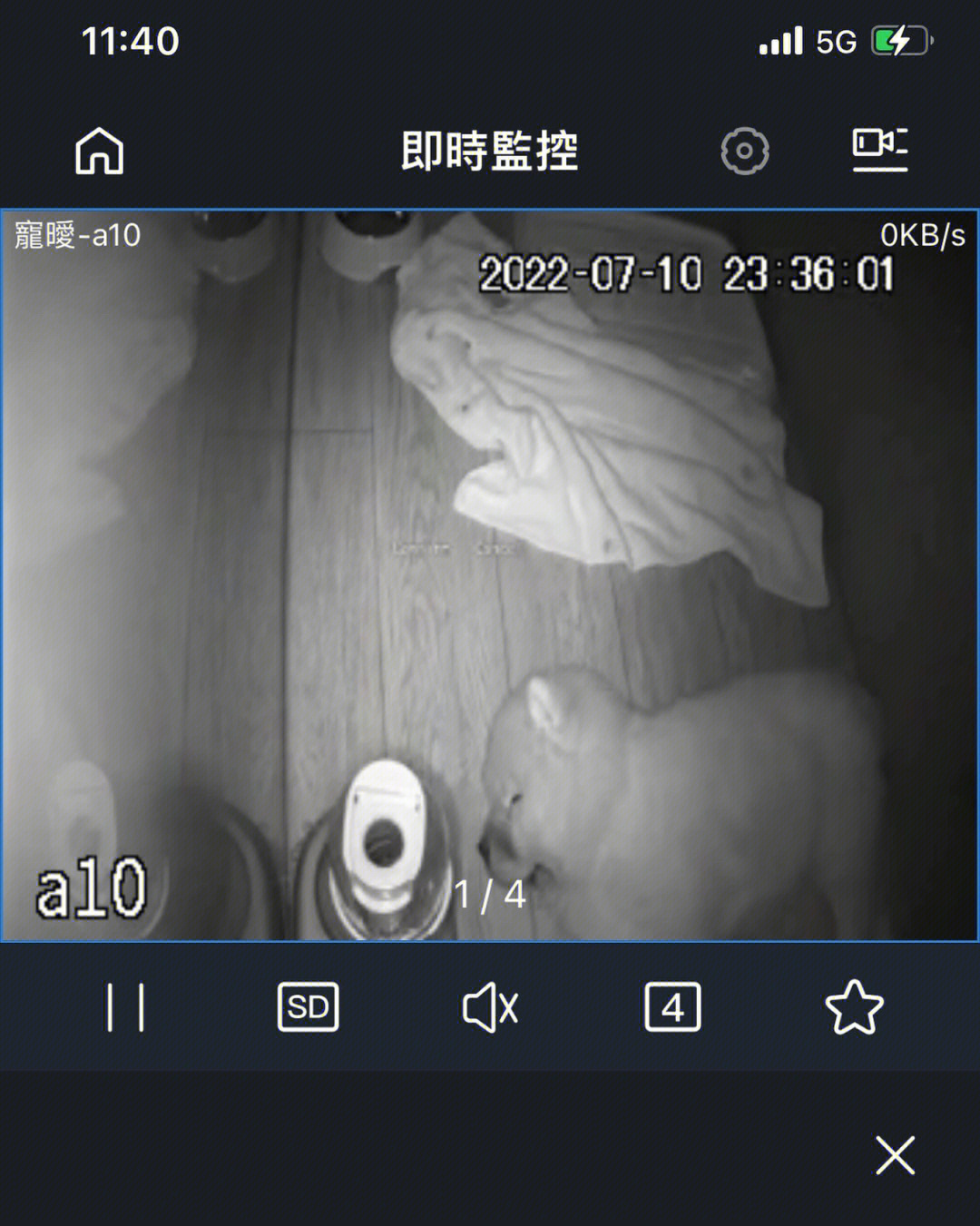 打开了监视器看看果果在宠物旅馆过的怎么样,结果看到了一只睡姿猖狂