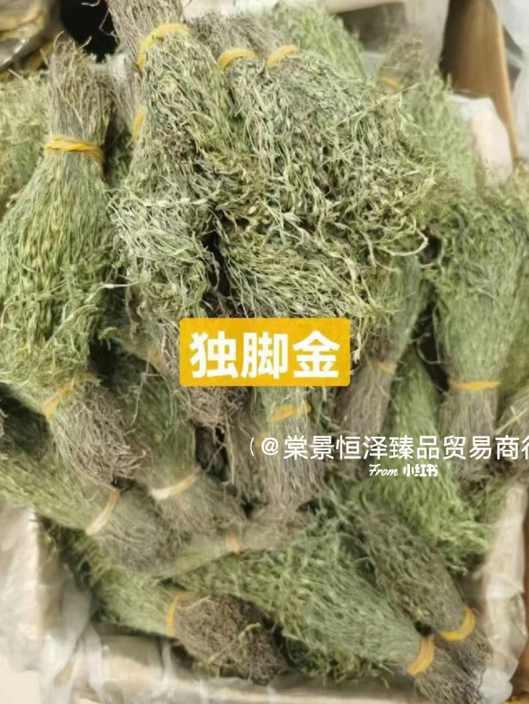 独脚金三寸金