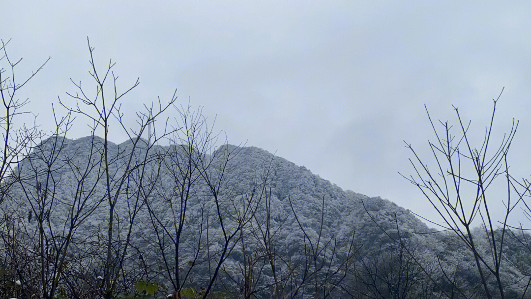 山王坪雪景图片