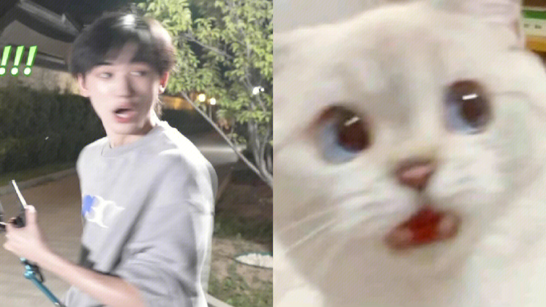 宋亚轩模仿猫猫表情包图片
