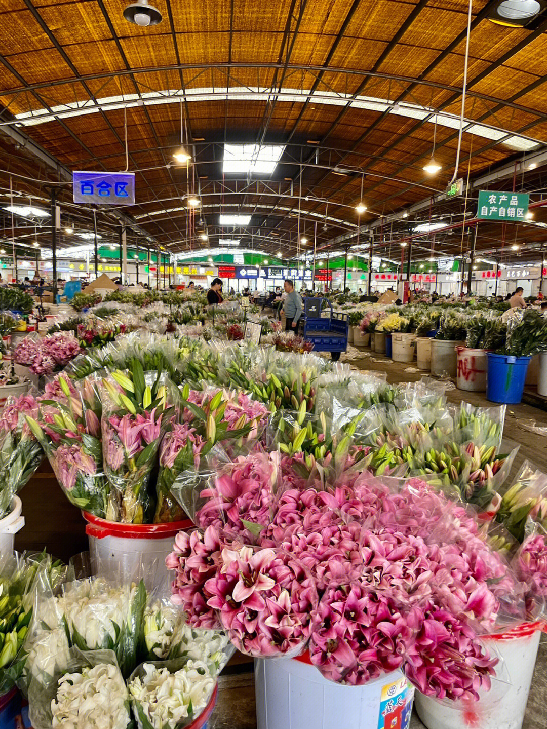 广州岭南花卉市场实现鲜花自由