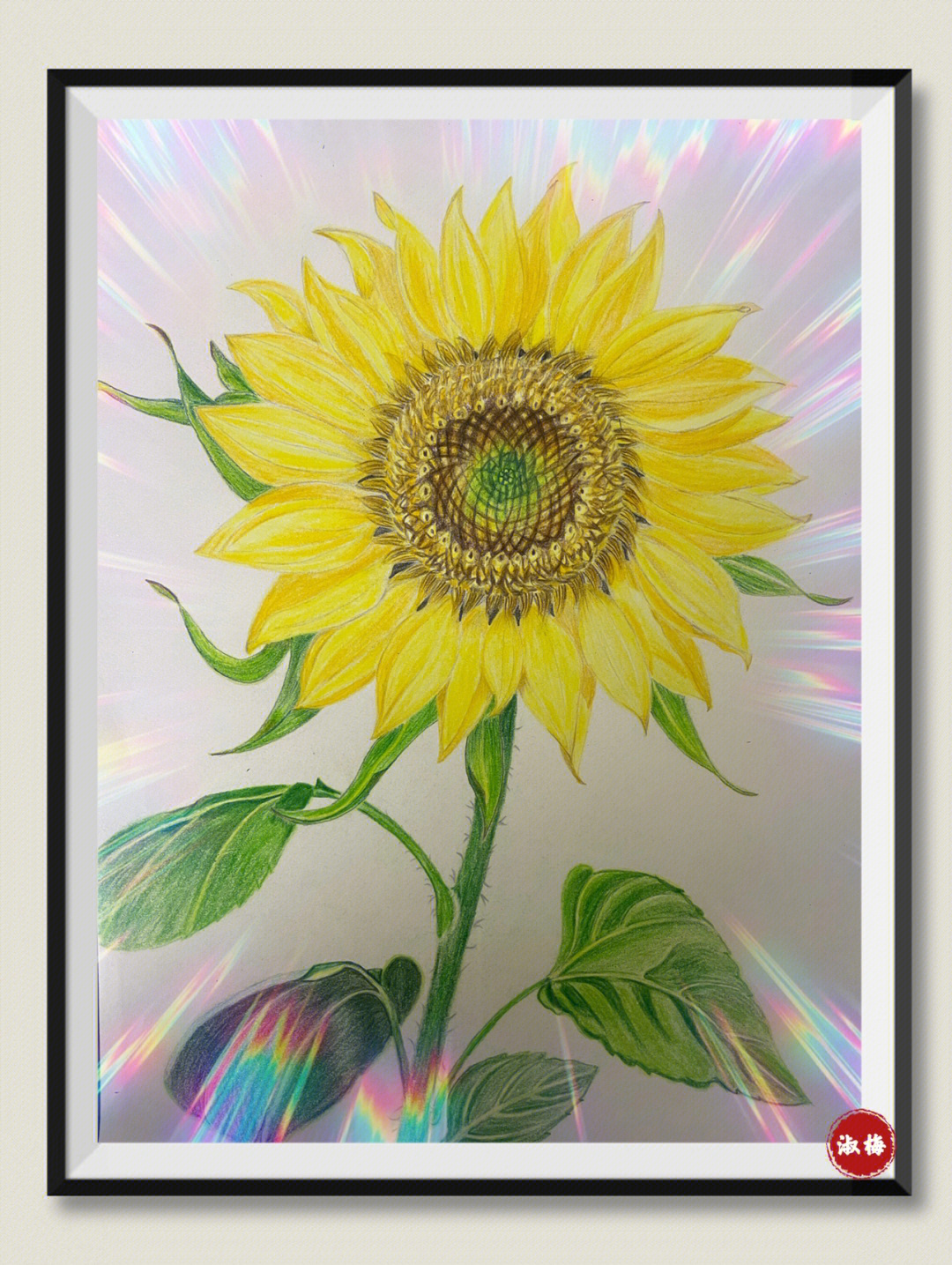 我的第50幅彩铅画向日葵