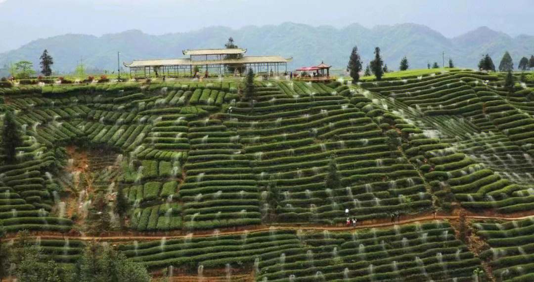 牛碾坪风景区图片