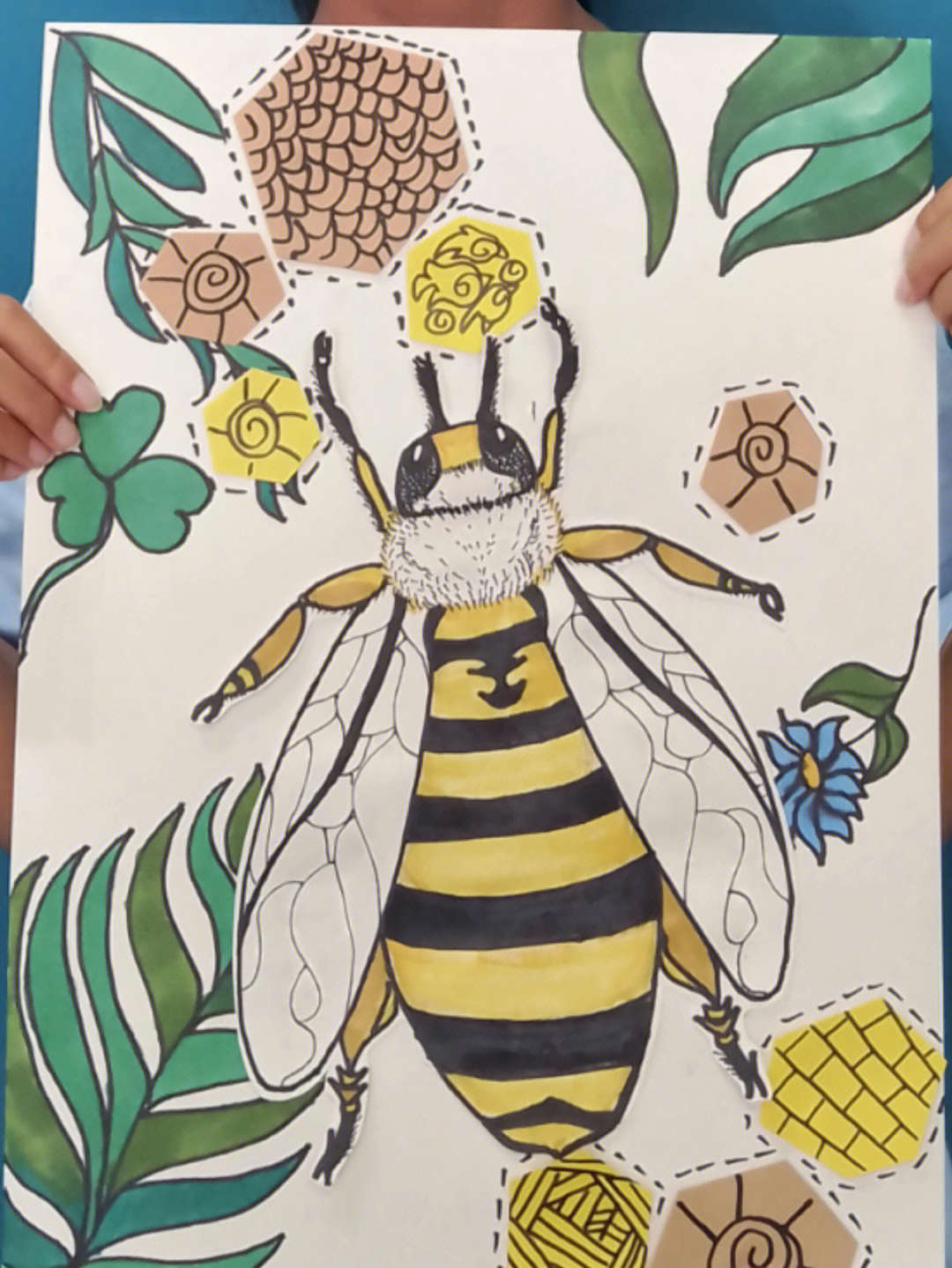 三年级蜜蜂动作图片
