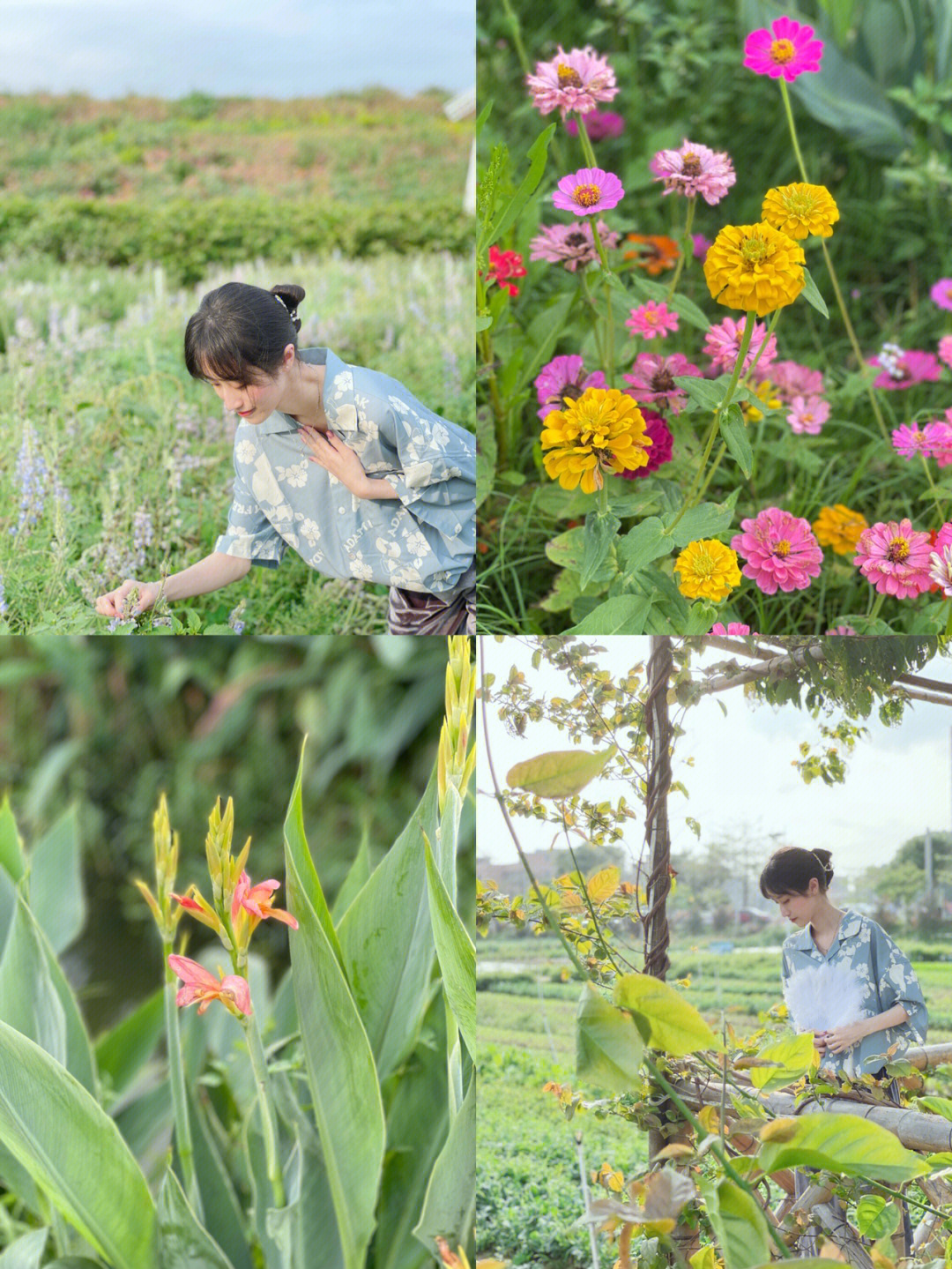 鲁冰花电视剧图片