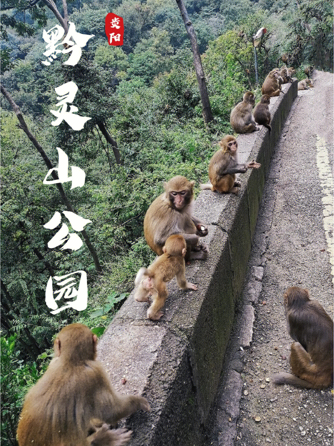 黔灵山公园的景色介绍图片