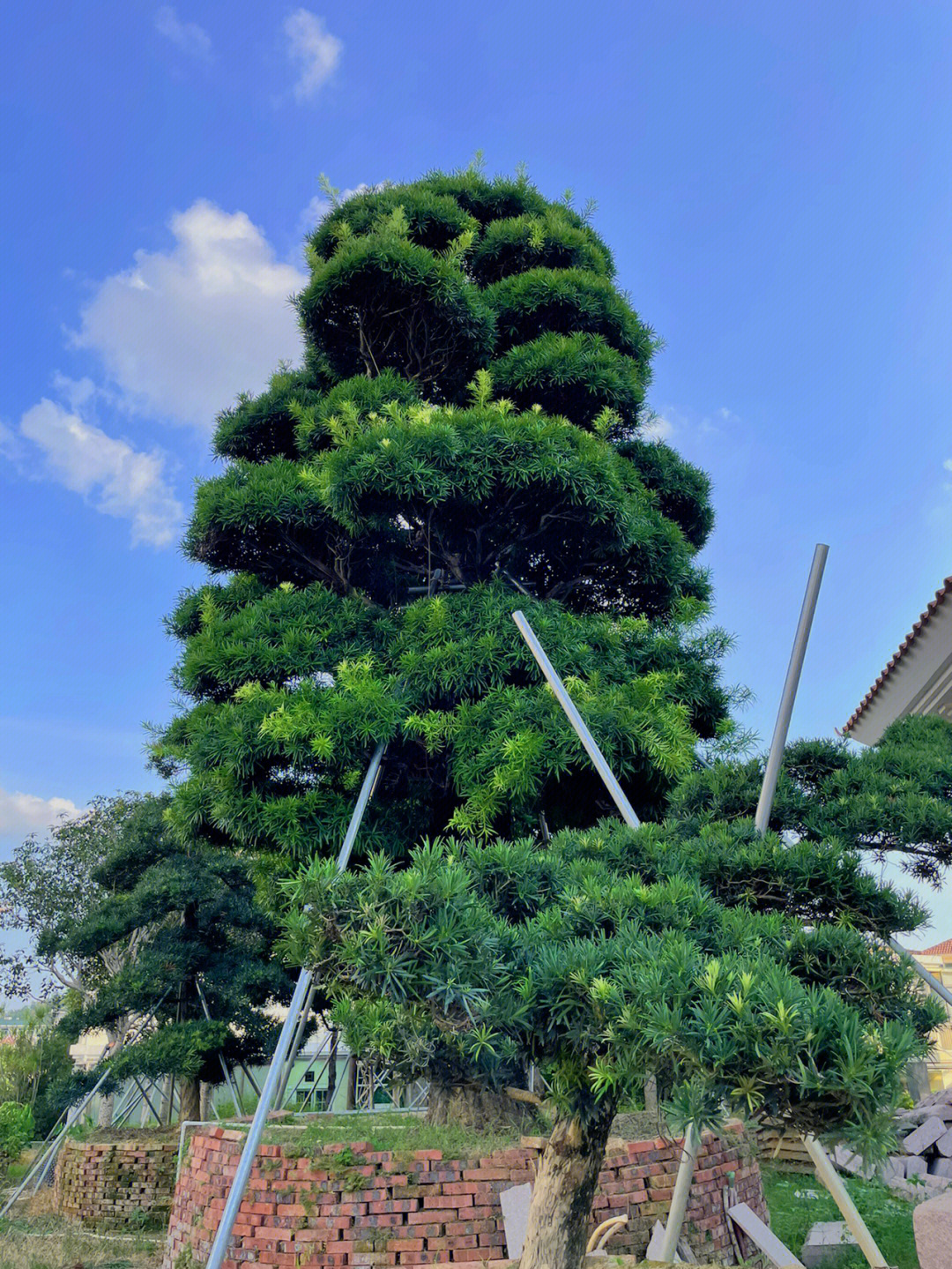 江门蓬江区别墅图片