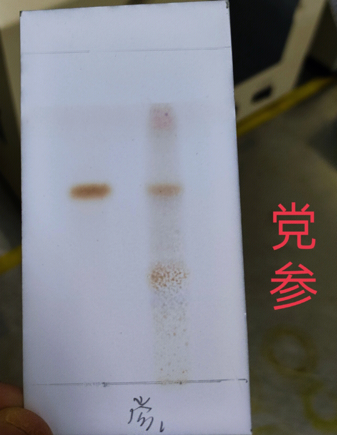 硅胶薄层色谱法原理图片