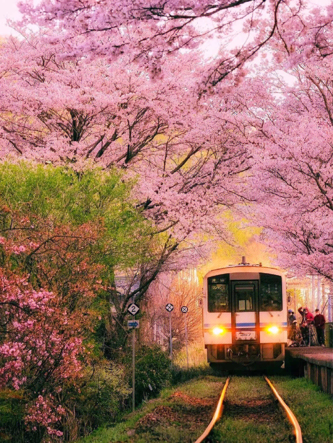 火车撑破粉色隧道动画图片
