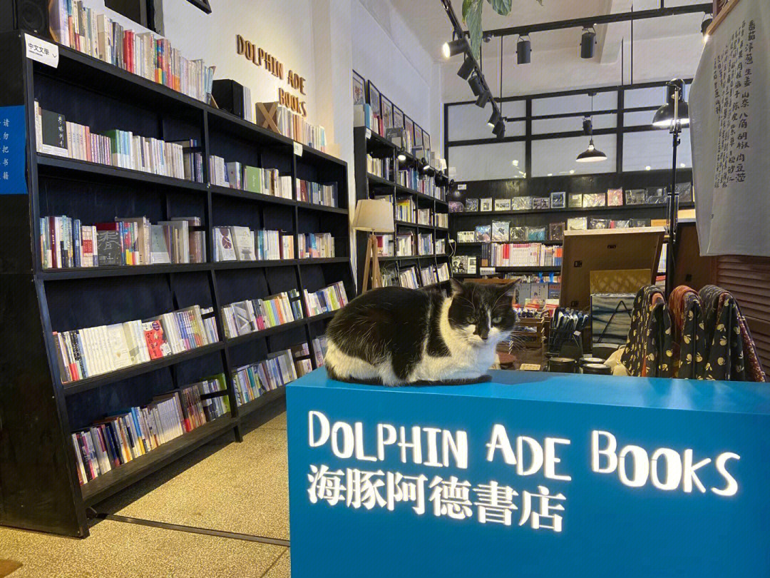 中国书店系列大理古城海豚阿德书店
