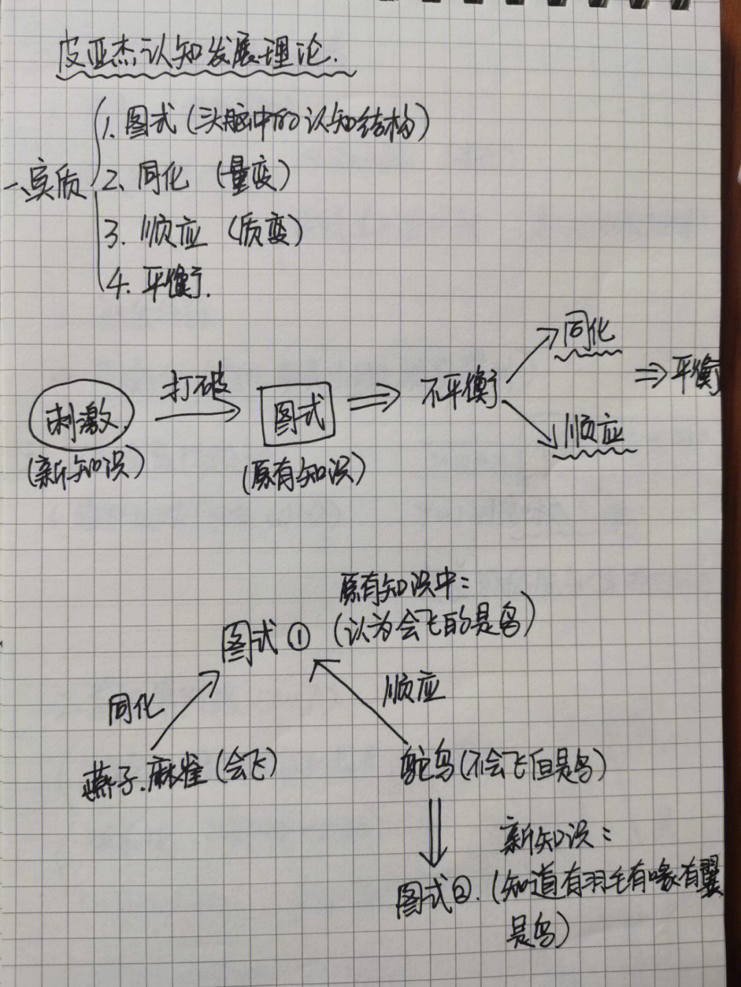 理清同化和顺应的关系