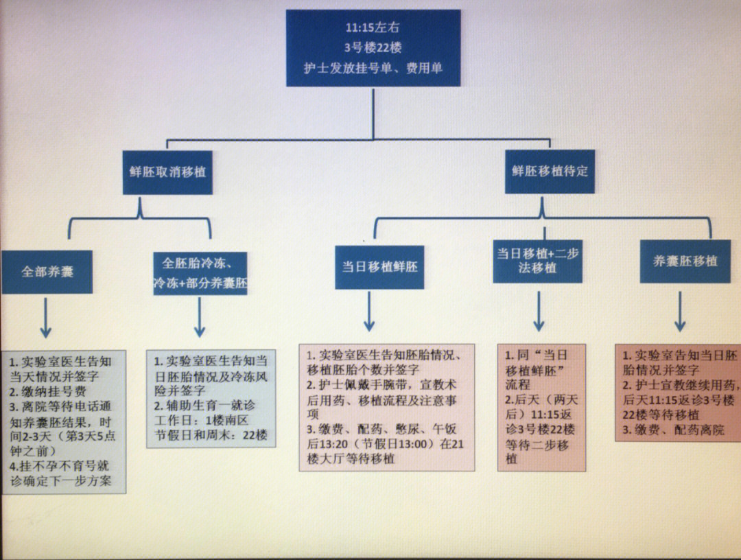 取卵3天后返院