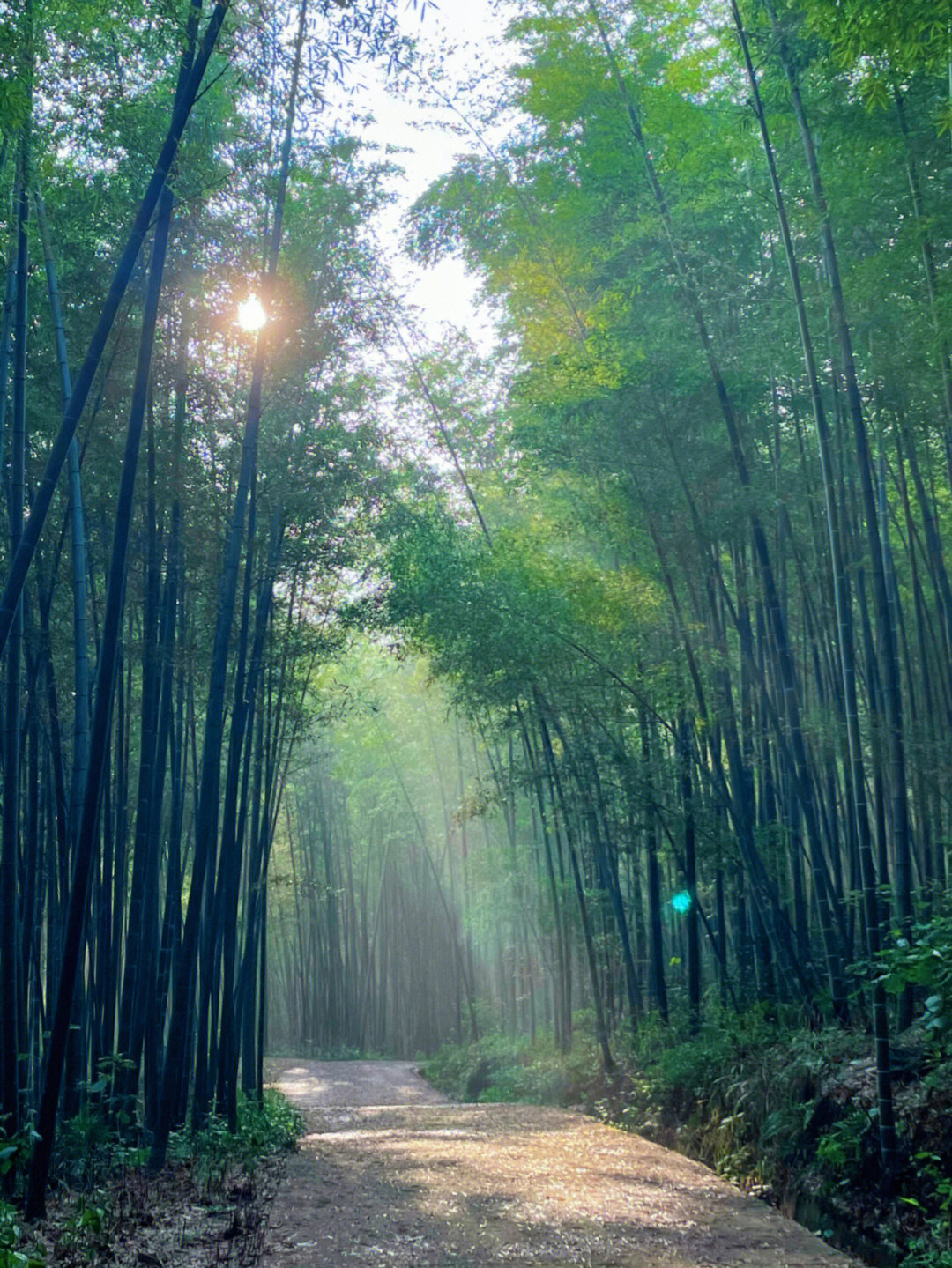 长沙乌山风景区图片