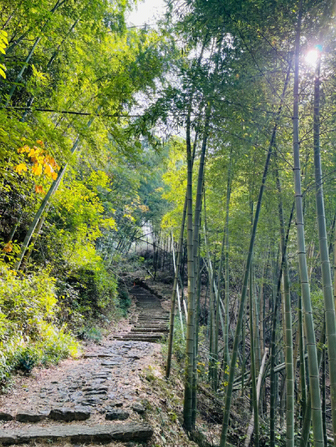 你好洋溢着秋天气息的上青古道