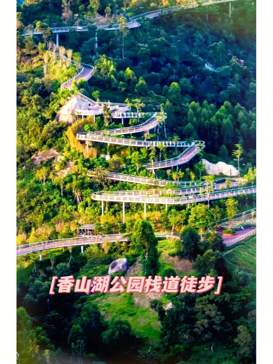香山湖公园云栈道图片图片