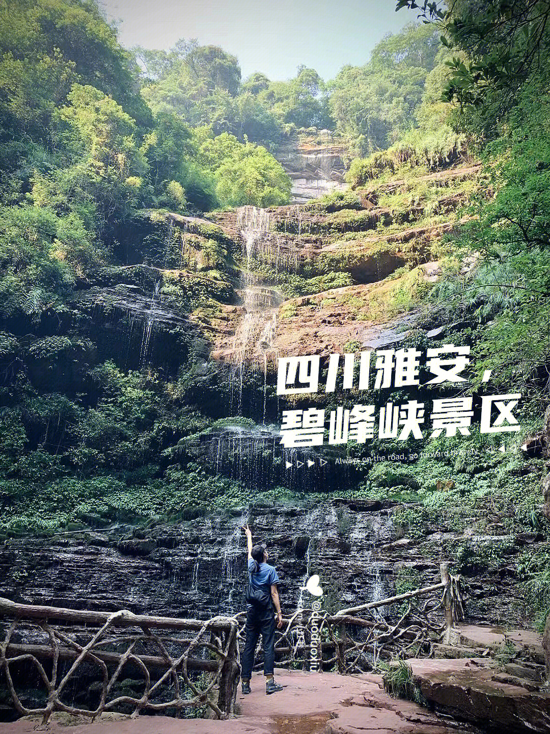 四川雅安碧峰峡景区神仙景色