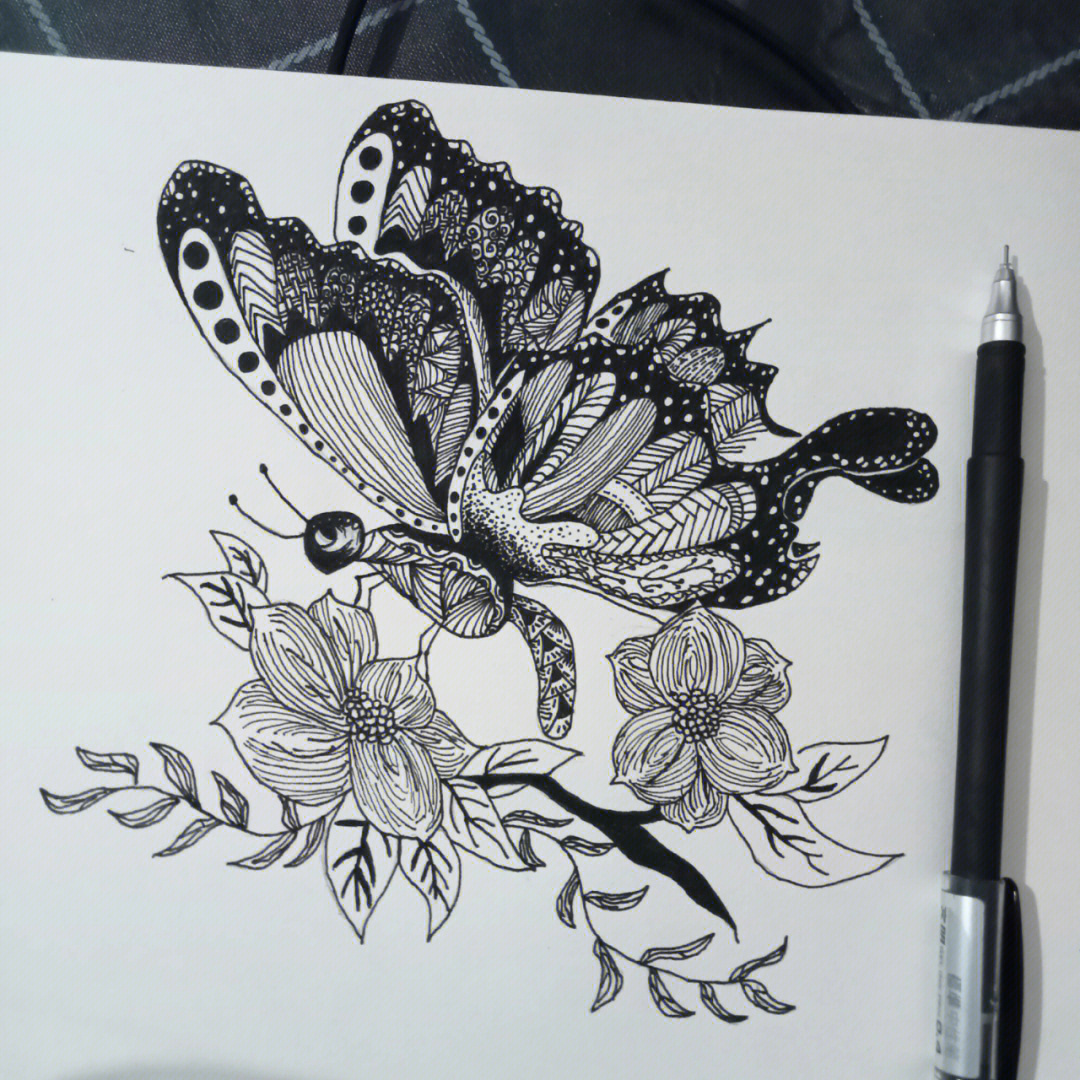 蝴蝶半边画铅笔画图片