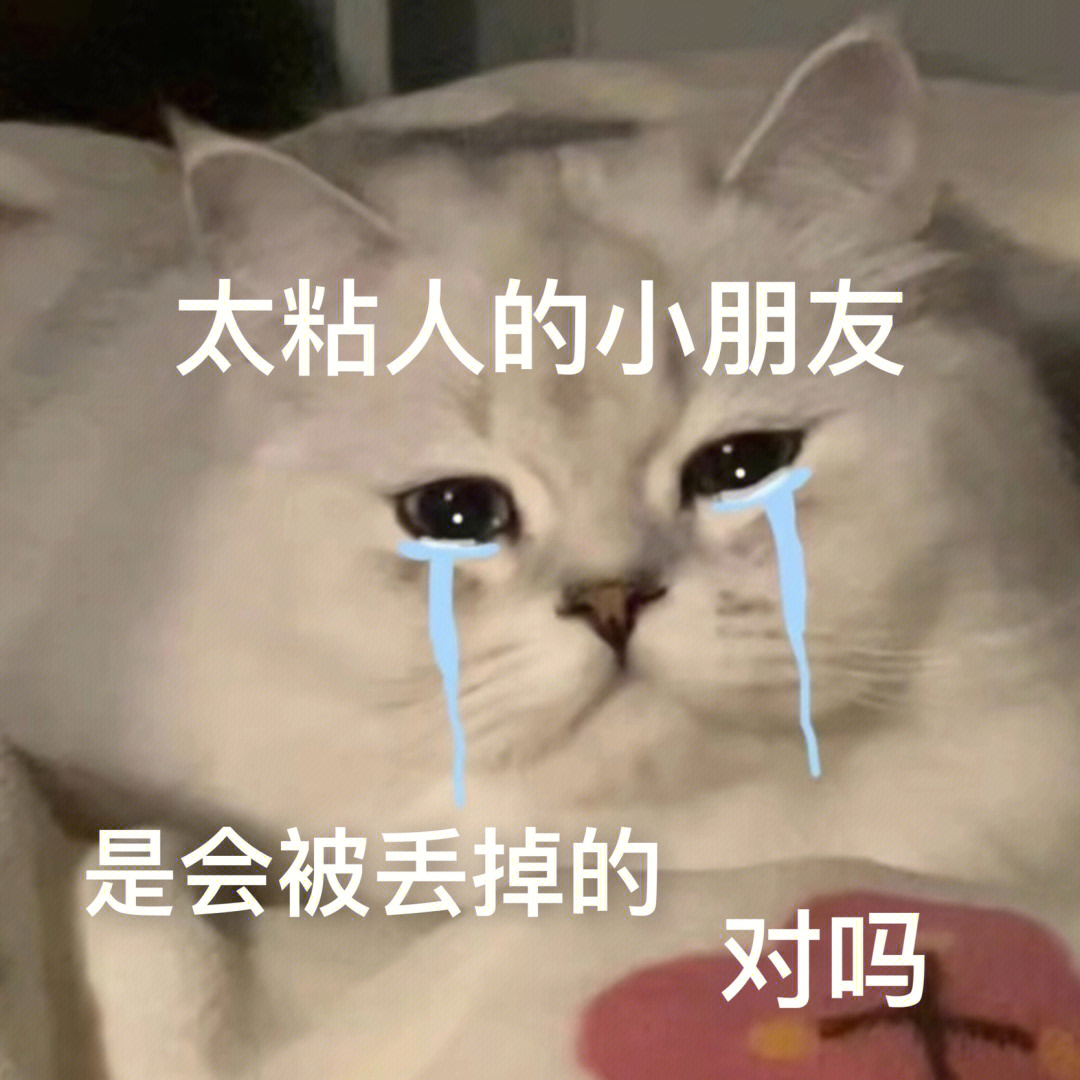 猫咪表情包