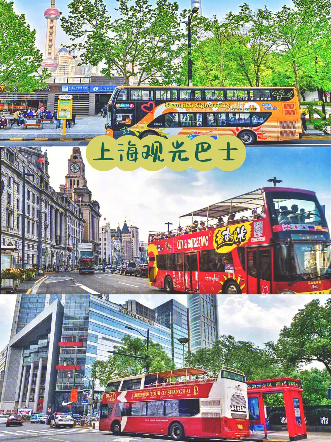 上海观光巴士路线图图片