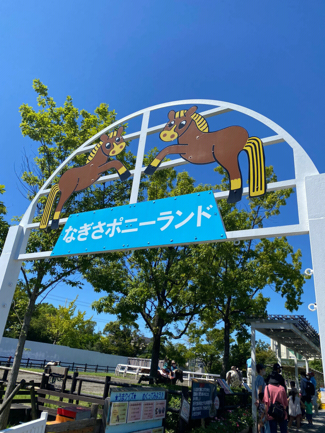 东京江户川区葛西小学6年级以下免费骑马