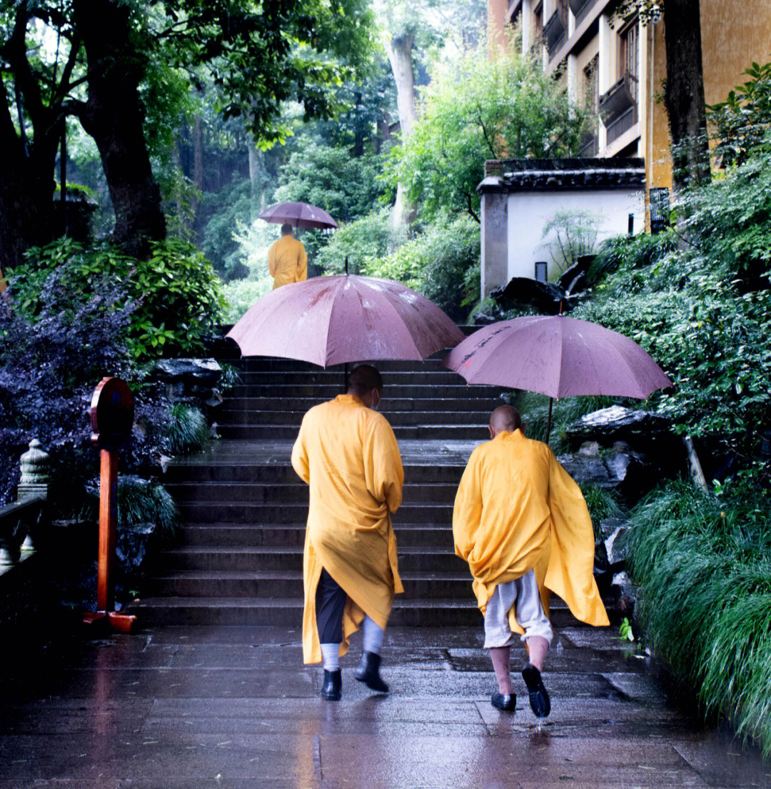 灵隐寺61雨